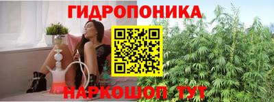 молекула духа Гусь-Хрустальный