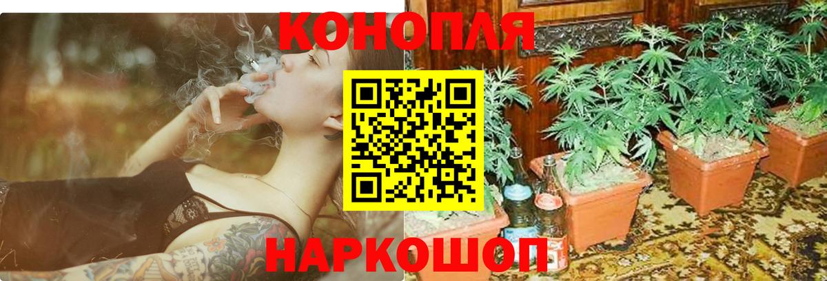 Бошки марихуана планчик  Конопля тримм  Конопля конопля  Вход с VPN  Мариинск 